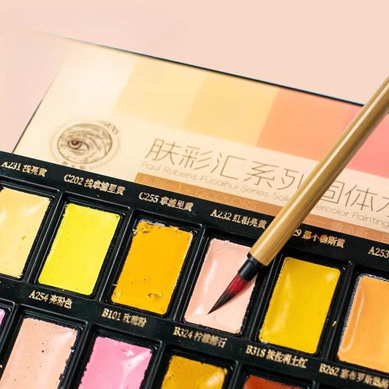 12 สีผิวสีทึบสีน้ํา Pigment ชุ - Watercolor Paint Set Solid Pigment บทวิจารณ์และราคา